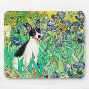 Rat Terrier - Irissen Muismat