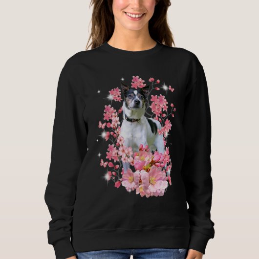 Rat Terrier Kersenbloesem Bloemen Trui (Voorkant)