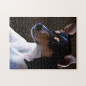 Rat Terrier Legpuzzel (Horizontaal)
