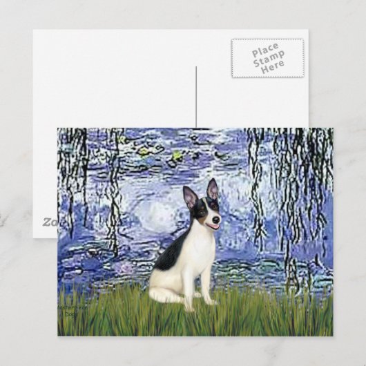 Rat Terrier - Lelies 6 Briefkaart (Voorkant / Achterkant)