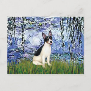 Rat Terrier - Lelies 6 Briefkaart