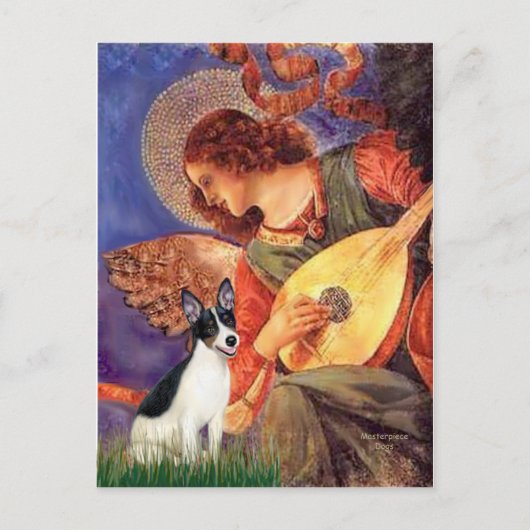 Rat Terrier - Mandolin Engel Briefkaart (Voorkant)