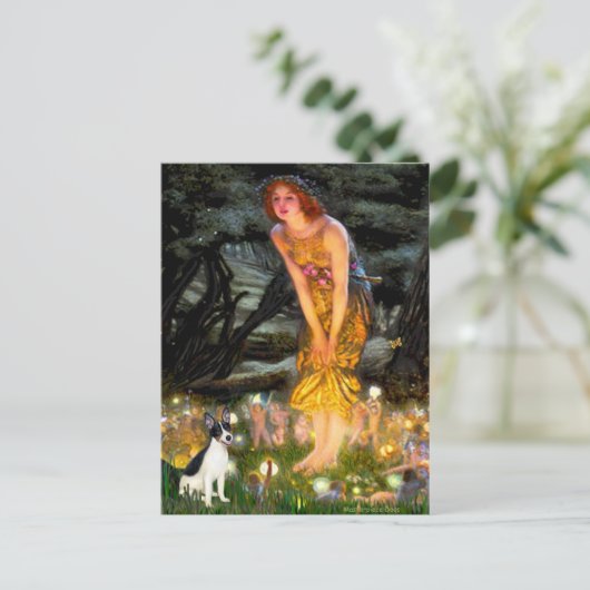 Rat Terrier - MidEve Briefkaart (Staand voorkant)