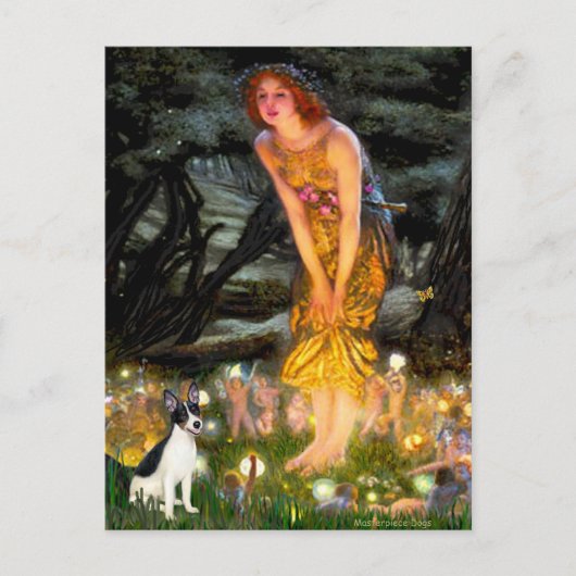 Rat Terrier - MidEve Briefkaart (Voorkant)