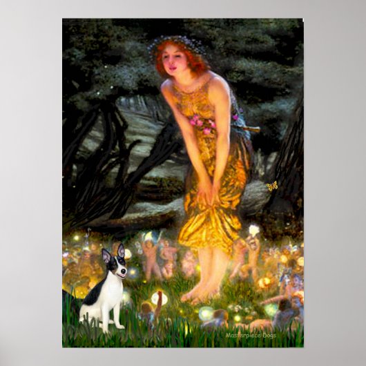 Rat Terrier - MidEve Poster (Voorkant)