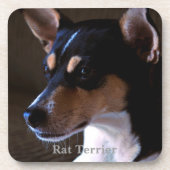 Rat Terrier Onderzetter (Voorkant)