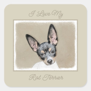 Rat Terrier Painting - Cute Original Dog Art Squar Vierkante Sticker