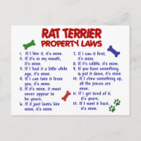 RAT TERRIER Property Wetten 2