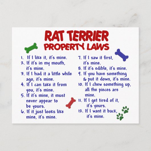 RAT TERRIER Property Wetten 2 Briefkaart (Voorkant)