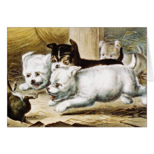 Rat Terrier Puppies -  Fine Art