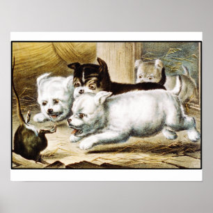 Rat Terrier Puppies -  Fine Art Poster