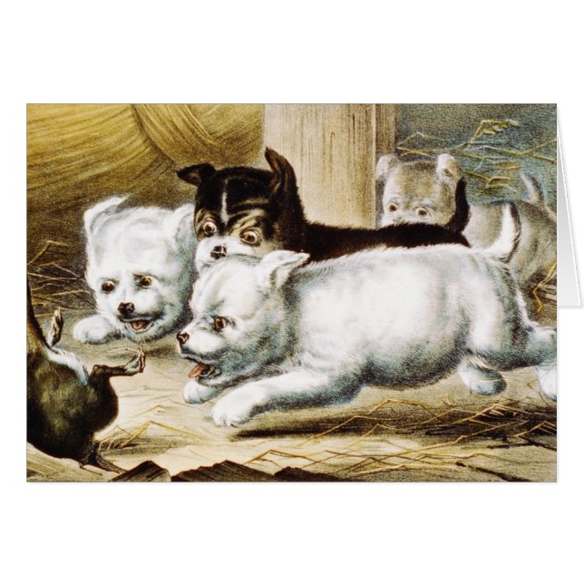 Rat Terrier Puppies - Klassieke Kunst (Voorkant Horizontaal)