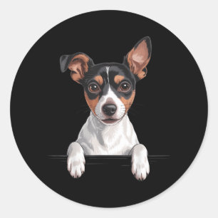 Rat Terrier Schattige Kijkende Rattie Hond Liefheb Ronde Sticker