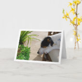 Rat Terrier Slapend Portret Kaart (Gele Bloem)