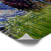 Rat Terrier — Sterrennacht Poster (Hoek)