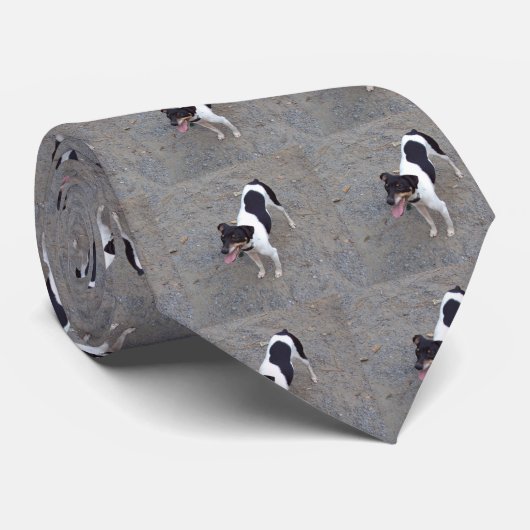 Rat Terrier Stropdas (Opgerold)