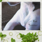 Rat Terrier Theedoek (Gevouwen)