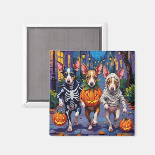 Rat Terrier Trick-or-Treating Halloween kostuums Magneet (Voorkant / Achterkant)