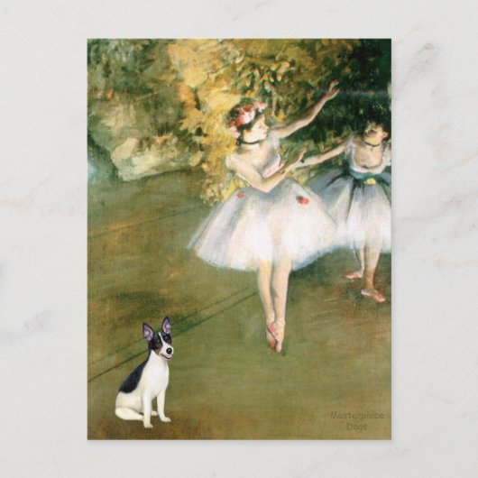 Rat Terrier - Twee dansers Briefkaart (Voorkant)