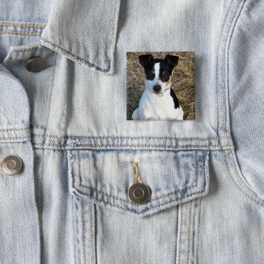 Rat Terrier Vierkante Button 5,1 Cm (In situ)