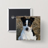 Rat Terrier Vierkante Button 5,1 Cm (Voorkant /achterkant)