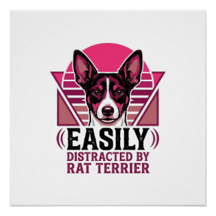 Rat Terrier Vintage Gemakkelijk Afleidbare Hond Sh Perfect Poster