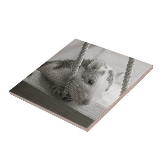 Rat Tile Tegeltje (Zijkant)