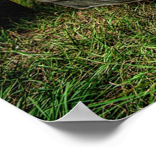 Rat Truck Poster (Hoek)