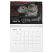 Rat van de Dag, de Kalender van de Maand (Feb 2026)