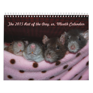 Rat van de Dag, de Kalender van de Maand