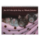 Rat van de Dag, de Kalender van de Maand (Hoes)