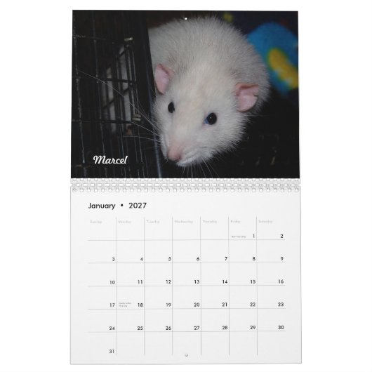 Rat van de Dag, de Kalender van de Maand (Jan 2027)