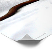 Rat wapcna poster (Hoek)