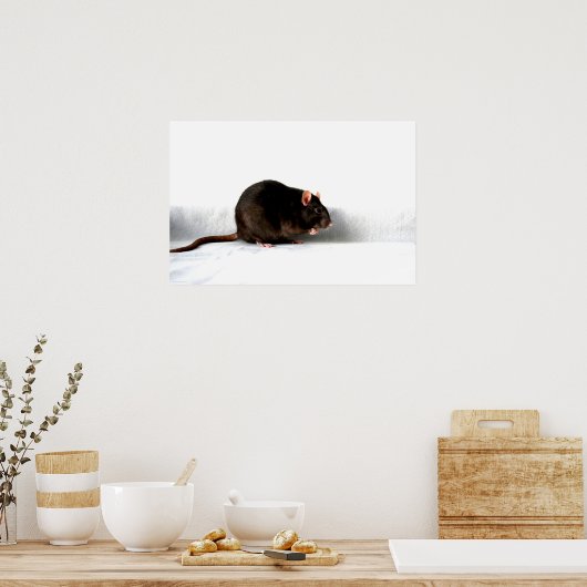 Rat wapcnm poster (Keuken)