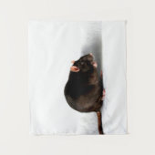 Rat wtcnm wandkleed (Voorkant)