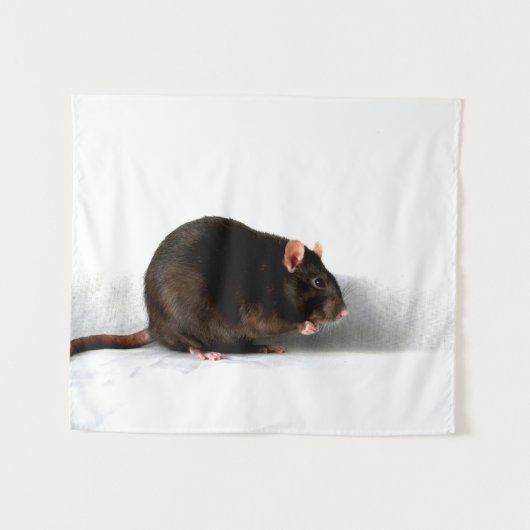 Rat wtcnm wandkleed (Voorkant (horizontaal))