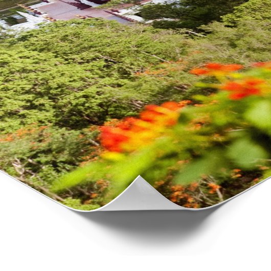 Ratchaphruek Flower festival Poster (Hoek)