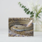 Ratelslang foto briefkaart (Staand voorkant)