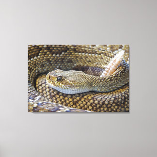 Ratelslang foto canvas afdruk