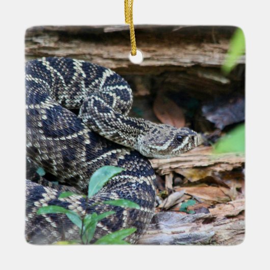Ratelslang in het wild keramisch ornament (Voorkant)