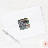 Ratelslang in het wild vierkante sticker (Envelop)