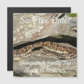 Ratelslang in Shenandoah National Park (Voorkant / Achterkant)