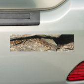Ratelslang in Shenandoah National Park Bumpersticker (Op auto)