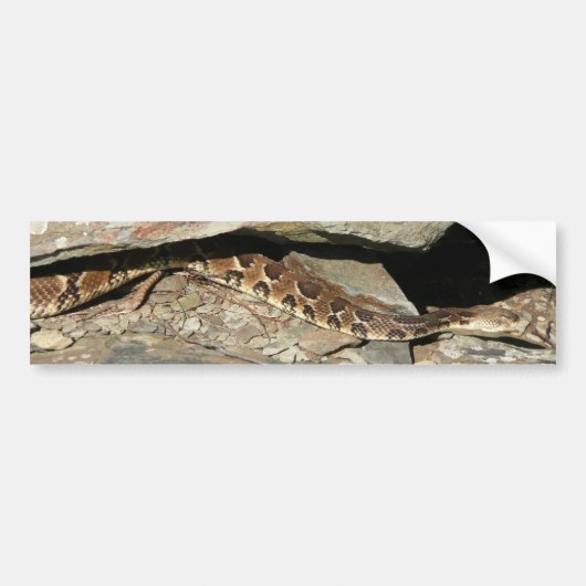Ratelslang in Shenandoah National Park Bumpersticker (Voorkant)