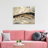 Ratelslang in Shenandoah National Park Canvas Afdruk (Insitu (Woonkamer))