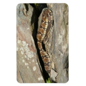 Ratelslang in Shenandoah National Park Magneet (Verticaal)