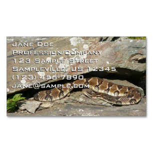 Ratelslang in Shenandoah National Park Magnetisch Visitekaartje