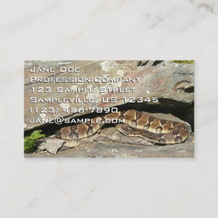 Ratelslang in Shenandoah National Park Visitekaartje
