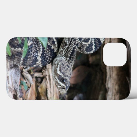 Ratelslang iPhone hoesjes (Achterkant (horizontaal))