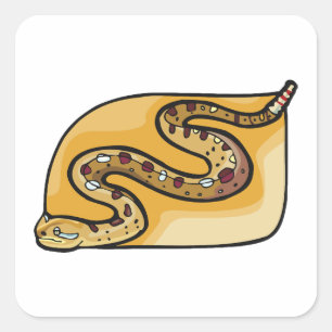 Ratelslang Opgerolde Slang Zuidwestelijke Woestijn Vierkante Sticker